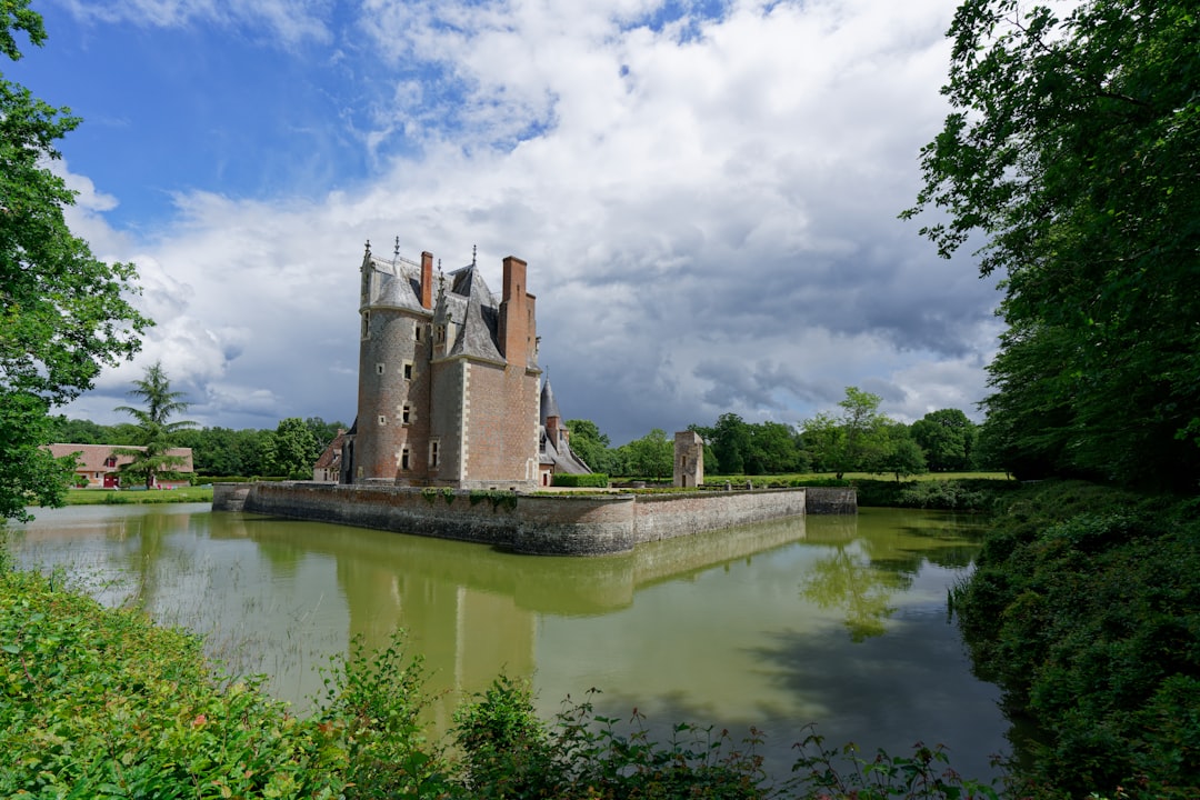 Economic Moat: The Key to Investment Strategy